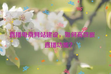 直播電商網(wǎng)站建設(shè)，如何高效嵌入直播功能？