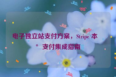 電子獨立站支付方案，Stripe 本地支付集成指南