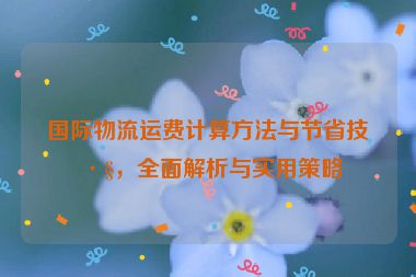 國際物流運費計算方法與節(jié)省技巧，全面解析與實用策略