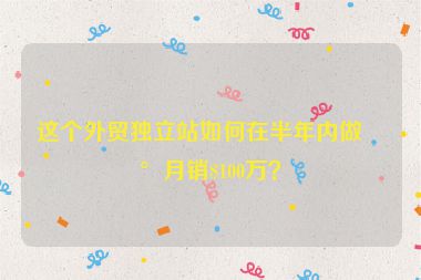 這個外貿(mào)獨立站如何在半年內(nèi)做到月銷$100萬？