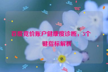 百度競(jìng)價(jià)賬戶健康度診斷，5個(gè)關(guān)鍵指標(biāo)解析