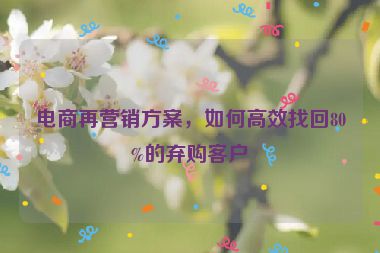 電商再營銷方案，如何高效找回80%的棄購客戶