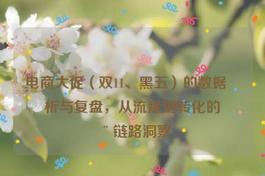 電商大促（雙11、黑五）的數(shù)據(jù)分析與復(fù)盤，從流量到轉(zhuǎn)化的全鏈路洞察