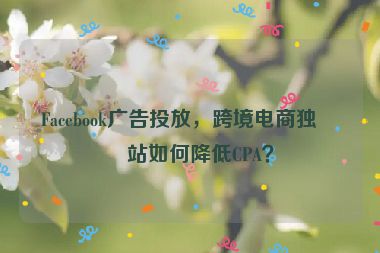 Facebook廣告投放，跨境電商獨立站如何降低CPA？