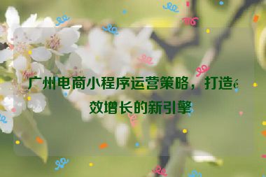 廣州電商小程序運(yùn)營策略，打造高效增長的新引擎