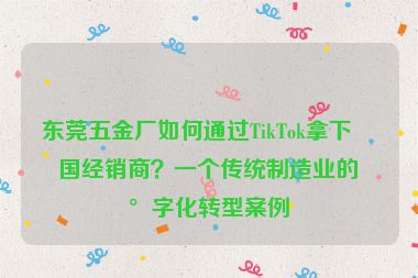 東莞五金廠如何通過TikTok拿下美國經(jīng)銷商？一個傳統(tǒng)制造業(yè)的數(shù)字化轉(zhuǎn)型案例