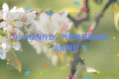 從1688到海外倉，外貿(mào)電商供應(yīng)鏈全流程解析