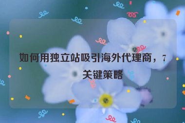 如何用獨(dú)立站吸引海外代理商，7個(gè)關(guān)鍵策略