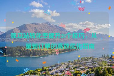 獨(dú)立站轉(zhuǎn)化率提升20個(gè)技巧，從流量到訂單的高效優(yōu)化指南