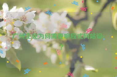 廣州企業(yè)為何需要響應(yīng)式網(wǎng)站設(shè)計？