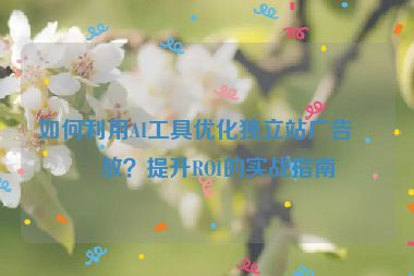 如何利用AI工具優(yōu)化獨(dú)立站廣告投放？提升ROI的實(shí)戰(zhàn)指南