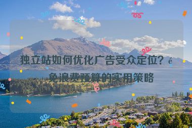獨(dú)立站如何優(yōu)化廣告受眾定位？避免浪費(fèi)預(yù)算的實用策略