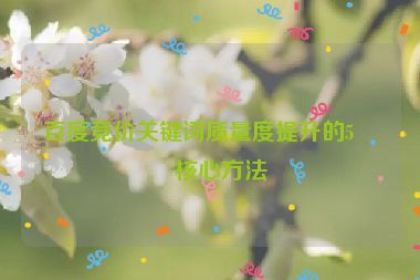 百度競價關(guān)鍵詞質(zhì)量度提升的5個核心方法