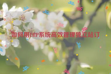 如何用ERP系統(tǒng)高效管理獨(dú)立站訂單