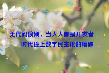 無代碼浪潮，當(dāng)人人都是開發(fā)者的時(shí)代撞上數(shù)字民主化的暗礁