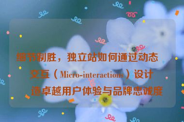 細(xì)節(jié)制勝，獨(dú)立站如何通過(guò)動(dòng)態(tài)微交互（Micro-interactions）設(shè)計(jì)打造卓越用戶(hù)體驗(yàn)與品牌忠誠(chéng)度