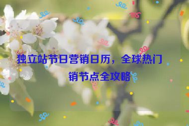 獨(dú)立站節(jié)日營銷日歷，全球熱門促銷節(jié)點(diǎn)全攻略
