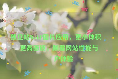 獨(dú)立站W(wǎng)ebP圖片應(yīng)用，更小體積，更高畫(huà)質(zhì)，顛覆網(wǎng)站性能與用戶體驗(yàn)