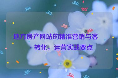 地方房產(chǎn)網(wǎng)站的精準(zhǔn)營(yíng)銷(xiāo)與客戶(hù)轉(zhuǎn)化，運(yùn)營(yíng)實(shí)戰(zhàn)要點(diǎn)