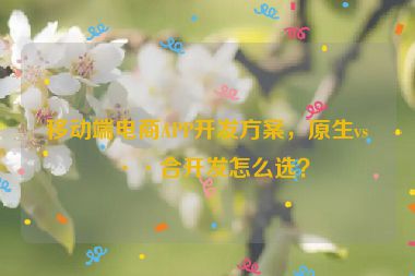 移動端電商APP開發(fā)方案，原生vs混合開發(fā)怎么選？