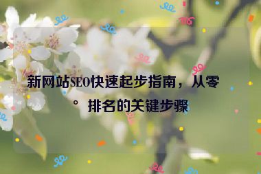 新網(wǎng)站SEO快速起步指南，從零到排名的關(guān)鍵步驟
