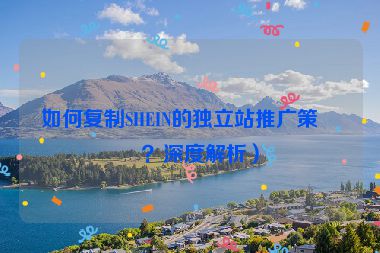 如何復(fù)制SHEIN的獨(dú)立站推廣策略？深度解析）
