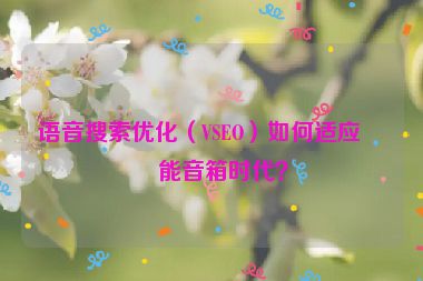 語音搜索優(yōu)化（VSEO）如何適應(yīng)智能音箱時代？