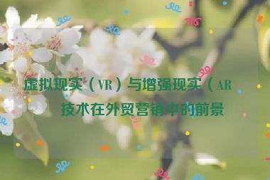 虛擬現(xiàn)實(shí)（VR）與增強(qiáng)現(xiàn)實(shí)（AR）技術(shù)在外貿(mào)營(yíng)銷(xiāo)中的前景