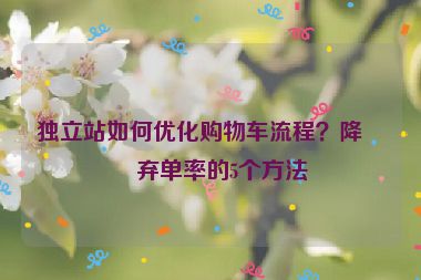 獨(dú)立站如何優(yōu)化購(gòu)物車(chē)流程？降低棄單率的5個(gè)方法