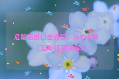 危險(xiǎn)品出口全流程，從MSDS到海運(yùn)申報(bào)實(shí)戰(zhàn)解析