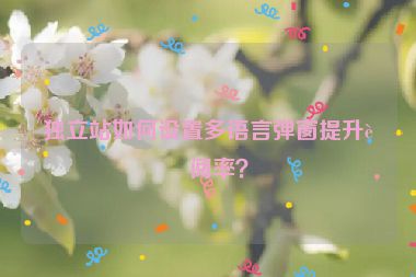 獨(dú)立站如何設(shè)置多語(yǔ)言彈窗提升訂閱率？