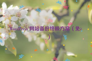 WordPress 網(wǎng)站備份終極方案（免費(fèi)）