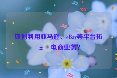 如何利用亞馬遜、eBay等平臺拓展電商業(yè)務(wù)？