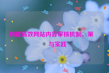 構(gòu)建高效網(wǎng)站內(nèi)容審核機制，策略與實踐
