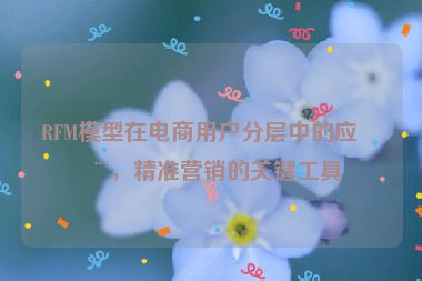 RFM模型在電商用戶分層中的應(yīng)用，精準(zhǔn)營銷的關(guān)鍵工具