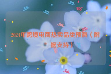 2024年跨境電商熱賣品類預(yù)測（附數(shù)據(jù)支持）