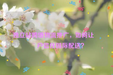 獨立站跨境物流推廣，如何讓用戶信任國際配送？