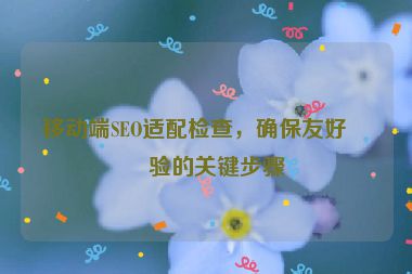 移動端SEO適配檢查，確保友好體驗(yàn)的關(guān)鍵步驟