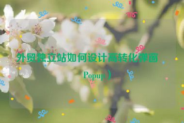 外貿(mào)獨立站如何設(shè)計高轉(zhuǎn)化彈窗（Popup）