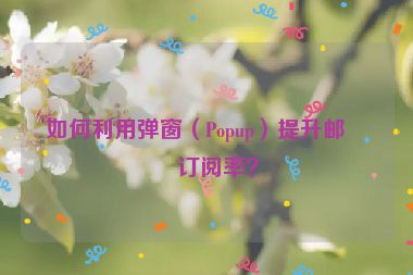 如何利用彈窗（Popup）提升郵件訂閱率？