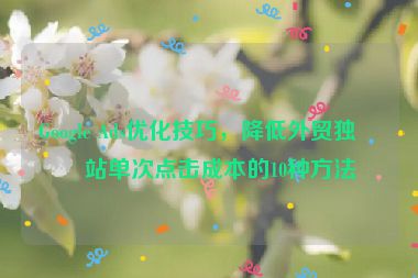 Google Ads優(yōu)化技巧，降低外貿獨立站單次點擊成本的10種方法