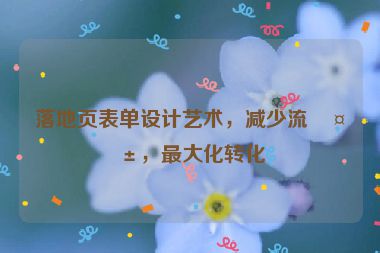 落地頁(yè)表單設(shè)計(jì)藝術(shù)，減少流失，最大化轉(zhuǎn)化