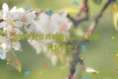 跨境電商如何利用WhatsApp營(yíng)銷提升復(fù)購(gòu)率？