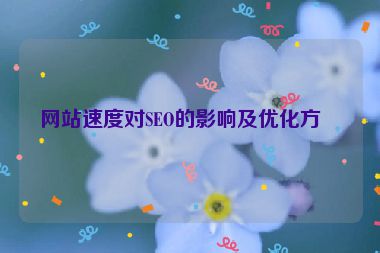 網(wǎng)站速度對SEO的影響及優(yōu)化方案