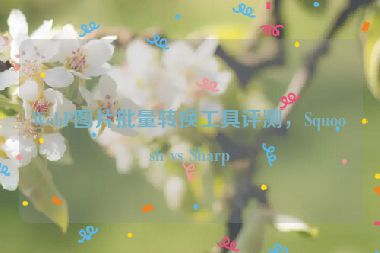 WebP圖片批量轉換工具評測，Squoosh vs Sharp
