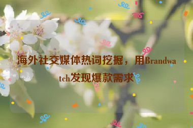 海外社交媒體熱詞挖掘，用Brandwatch發(fā)現(xiàn)爆款需求