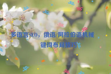 多語(yǔ)言SEO，俄語(yǔ)/阿拉伯語(yǔ)機(jī)械關(guān)鍵詞布局技巧