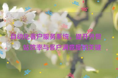 自動化客戶服務(wù)系統(tǒng)，提升外貿(mào)網(wǎng)站效率與客戶滿意度的關(guān)鍵