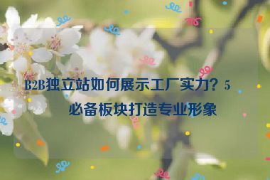 B2B獨(dú)立站如何展示工廠實(shí)力？5個(gè)必備板塊打造專業(yè)形象