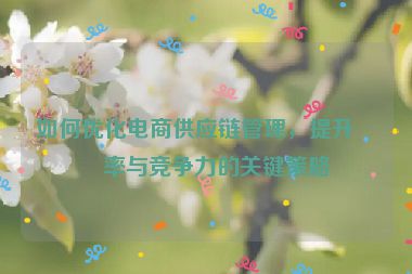 如何優(yōu)化電商供應(yīng)鏈管理，提升效率與競爭力的關(guān)鍵策略